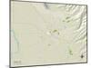 Political Map of Chico, CA-null-Mounted Art Print