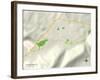 Political Map of Clifton Forge, VA-null-Framed Art Print