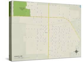 Political Map of Cokato, MN-null-Stretched Canvas