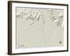 Political Map of Congress, AZ-null-Framed Art Print