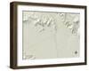 Political Map of Congress, AZ-null-Framed Art Print