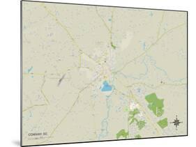 Political Map of Conway, SC-null-Mounted Art Print