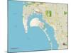 Political Map of Coronado, CA-null-Mounted Art Print