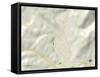 Political Map of Covington, VA-null-Framed Stretched Canvas