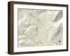 Political Map of Covington, VA-null-Framed Art Print