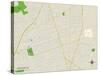 Political Map of Deer Park, NY-null-Stretched Canvas