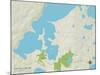 Political Map of East Gull Lake, MN-null-Mounted Art Print