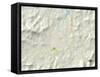 Political Map of Franklin, NC-null-Framed Stretched Canvas