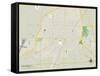 Political Map of Galesburg, IL-null-Framed Stretched Canvas