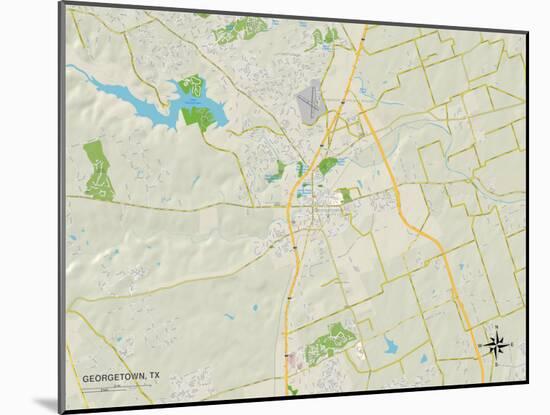 Political Map of Georgetown, TX-null-Mounted Art Print