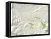 Political Map of Granby, CO-null-Framed Stretched Canvas