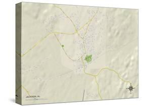 Political Map of Jackson, AL-null-Stretched Canvas