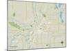 Political Map of Mankato, MN-null-Mounted Art Print