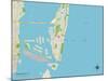 Political Map of Miami Beach, FL-null-Mounted Art Print