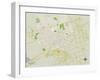 Political Map of Midland, TX-null-Framed Art Print