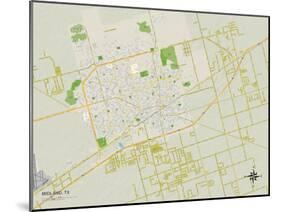 Political Map of Midland, TX-null-Mounted Art Print