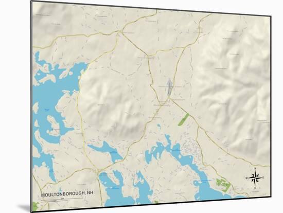 Political Map of Moultonborough, NH-null-Mounted Art Print