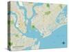 Political Map of Mount Pleasant, SC-null-Stretched Canvas