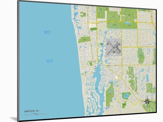 Political Map of Naples, FL-null-Mounted Art Print