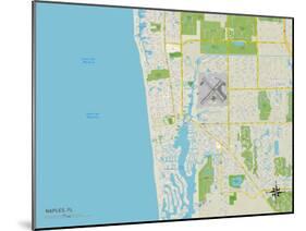 Political Map of Naples, FL-null-Mounted Art Print