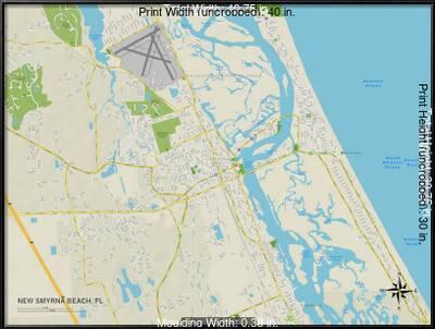 Political Map Of New Smyrna Beach Fl Art Allposters Com