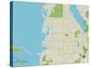 Political Map of Palm Harbor, FL-null-Stretched Canvas