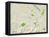 Political Map of Petaluma, CA-null-Framed Stretched Canvas