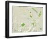 Political Map of Petaluma, CA-null-Framed Art Print