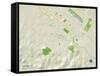 Political Map of Petaluma, CA-null-Framed Stretched Canvas