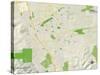 Political Map of Pleasanton, CA-null-Stretched Canvas