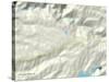 Political Map of Pollock Pines, CA-null-Stretched Canvas