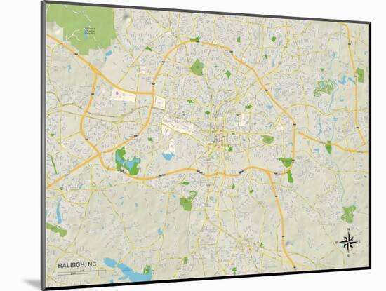 Political Map of Raleigh, NC-null-Mounted Art Print