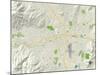 Political Map of Reno, NV-null-Mounted Art Print