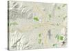 Political Map of Reno, NV-null-Stretched Canvas