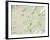 Political Map of Roanoke, VA-null-Framed Art Print