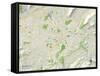 Political Map of Roanoke, VA-null-Framed Stretched Canvas