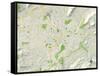Political Map of Roanoke, VA-null-Framed Stretched Canvas