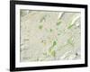 Political Map of Roanoke, VA-null-Framed Art Print