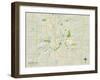 Political Map of Rochester, MN-null-Framed Art Print