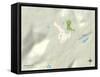 Political Map of Sewanee, TN-null-Framed Stretched Canvas