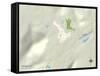 Political Map of Sewanee, TN-null-Framed Stretched Canvas