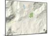 Political Map of Snowmass Village, CO-null-Mounted Art Print