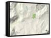 Political Map of Snowmass Village, CO-null-Framed Stretched Canvas