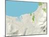 Political Map of South Lake Tahoe, CA-null-Mounted Art Print