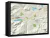 Political Map of Truckee, CA-null-Framed Stretched Canvas