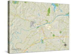 Political Map of Tuscaloosa, AL-null-Stretched Canvas