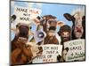 Political Moooovement-Lucia Heffernan-Mounted Art Print