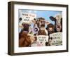 Political Moooovement-Lucia Heffernan-Framed Art Print