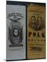 Polk and Dallas Campaign Ribbons-David J. Frent-Mounted Photographic Print