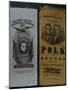 Polk and Dallas Campaign Ribbons-David J. Frent-Mounted Photographic Print